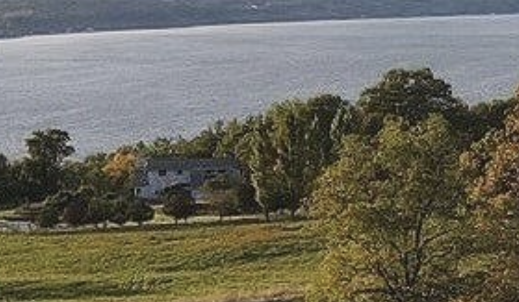 View of Cayuga Lake from Bright Leaf Winery